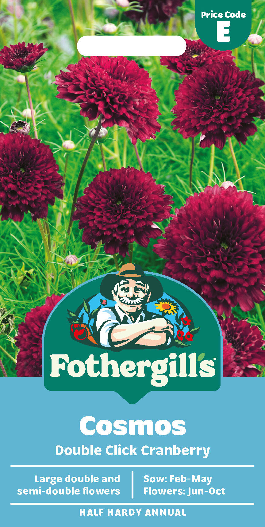 Cosmos 'Double Click Cranberry' Half Hardy Annual Seeds x1 Pack - Average 40 seeds - RHS Plants for pollinators