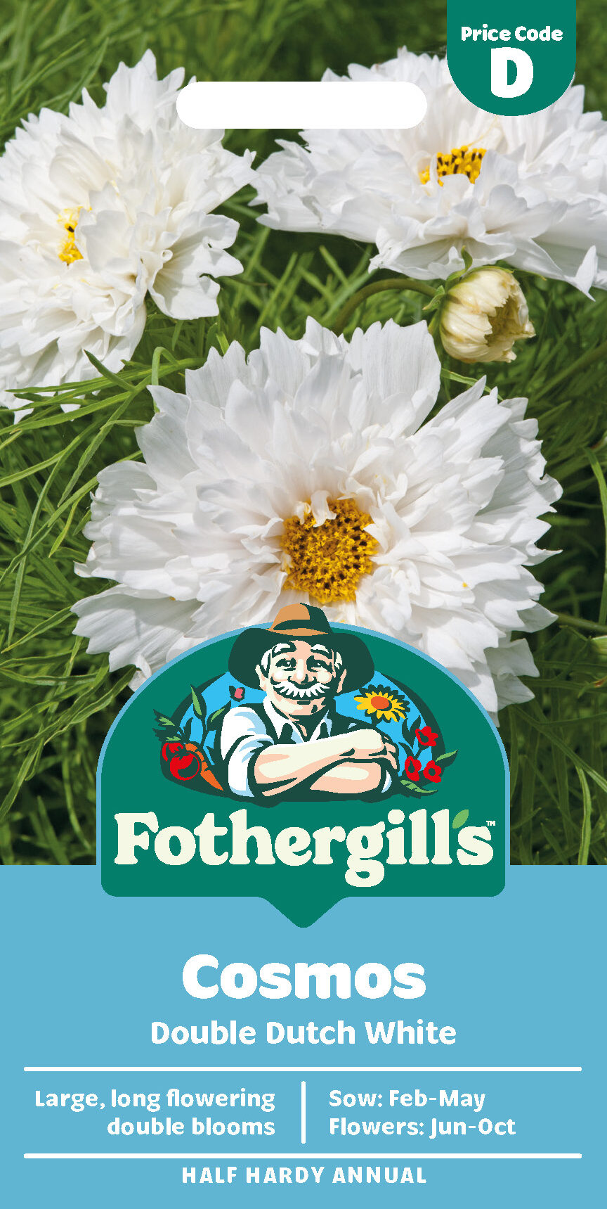 Cosmos 'Double Dutch White' Half Hardy Annual Seeds x1 Pack - Average 50 seeds - RHS Plants for pollinators