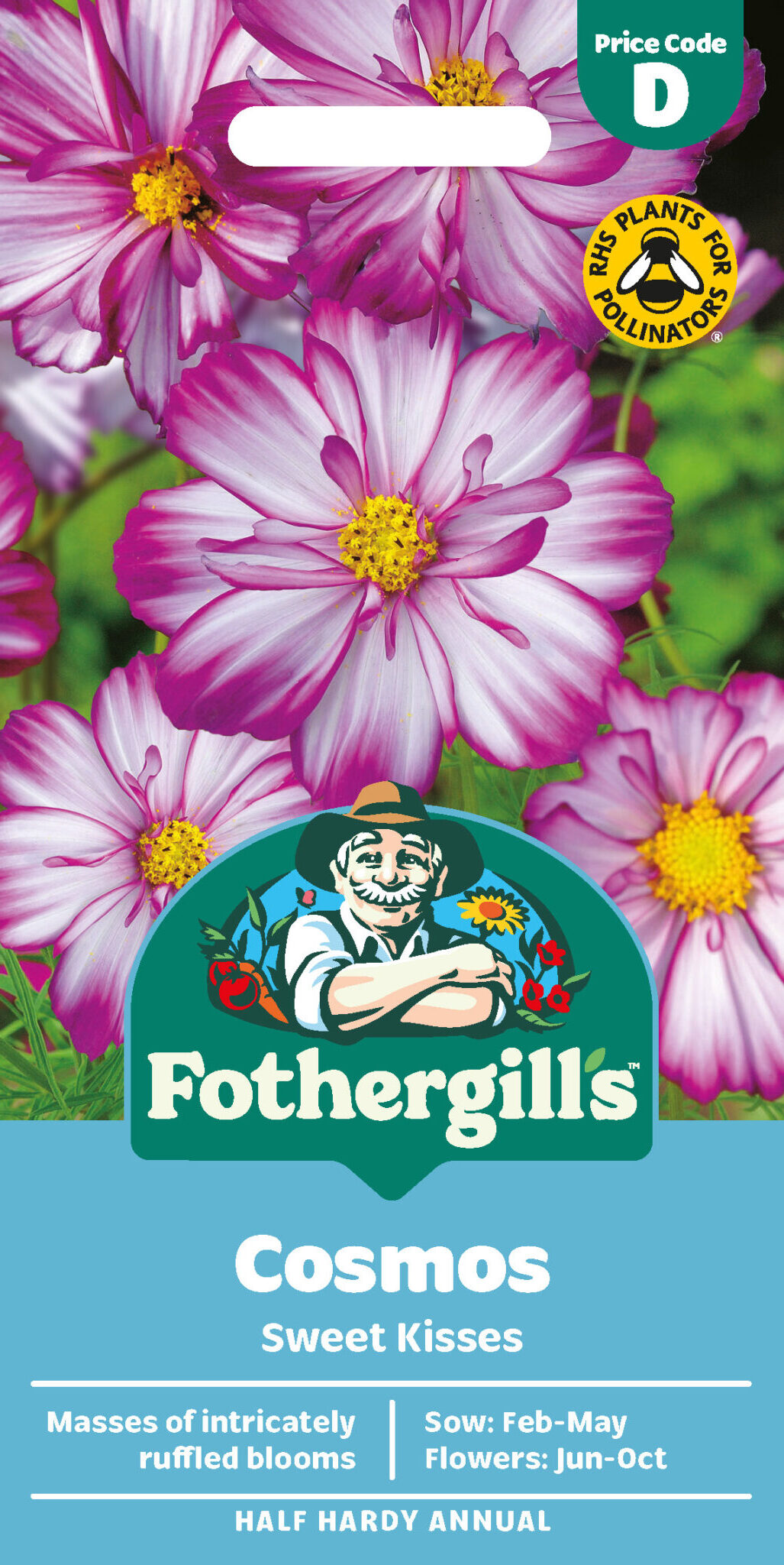 Cosmos 'Sweet Kisses' Half Hardy Annual Seeds x1 Pack - Average 50 seeds - RHS Plants for pollinators