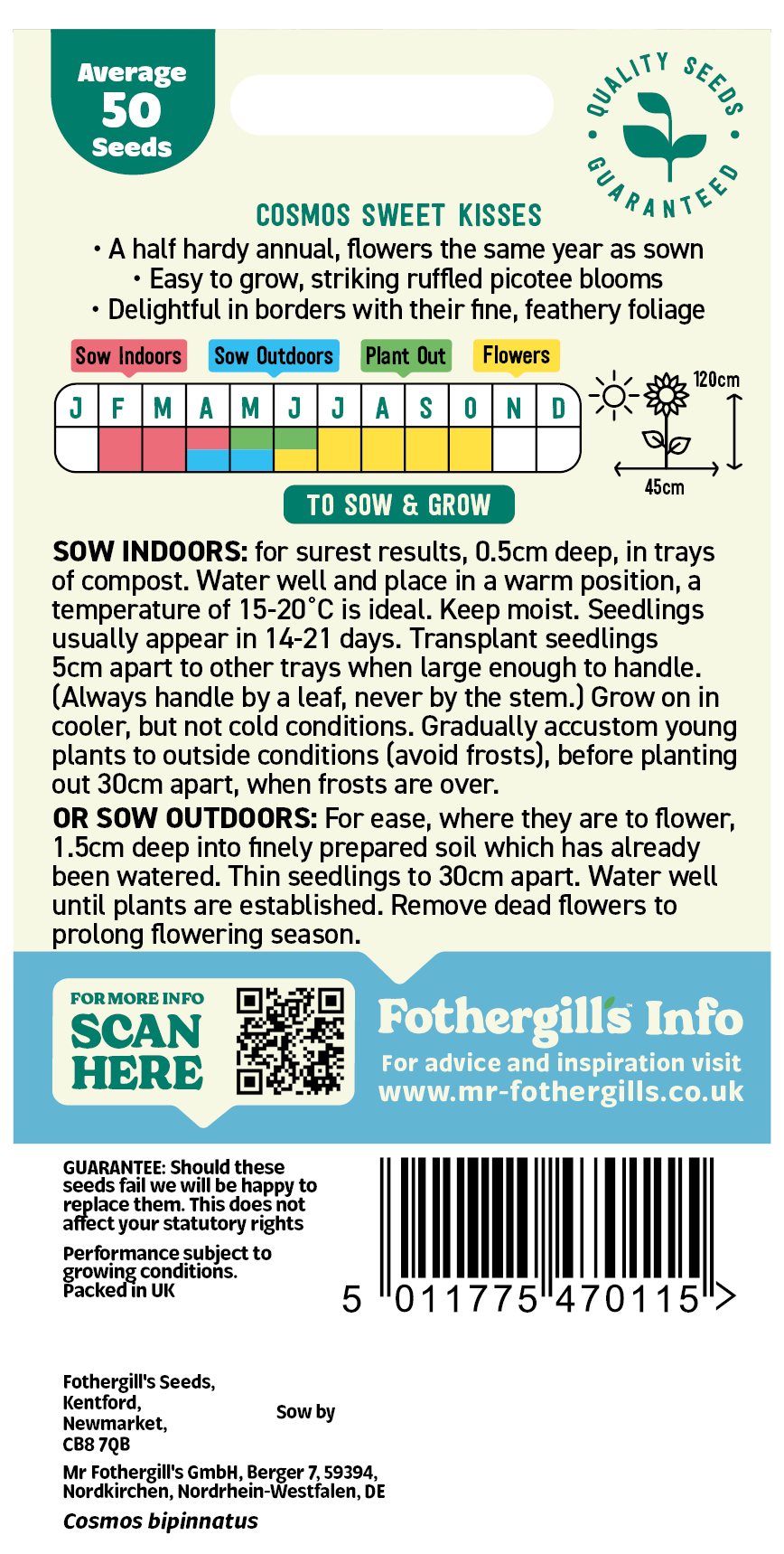 Cosmos 'Sweet Kisses' Half Hardy Annual Seeds x1 Pack - Average 50 seeds - RHS Plants for pollinators - Image 2