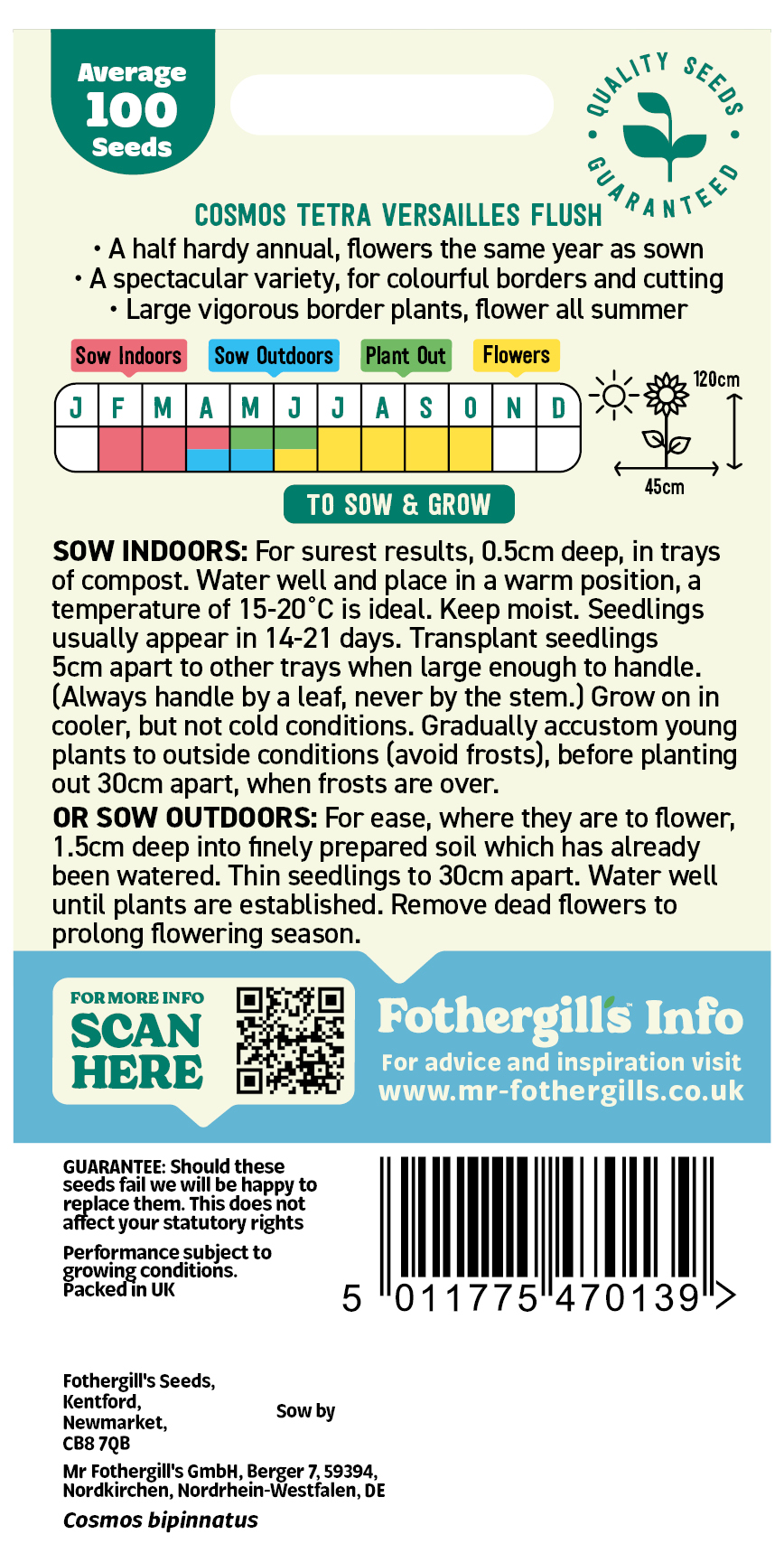 Cosmos 'Tetra Versailles Flush' Half Hardy Annual Seeds x1 Pack - Average 100 seeds - RHS Plants for pollinators - Image 2