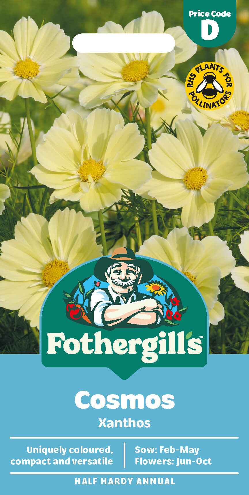 Cosmos 'Xanthos' Half Hardy Annual Seeds x1 Pack - Average 30 seeds - RHS Plants for pollinators