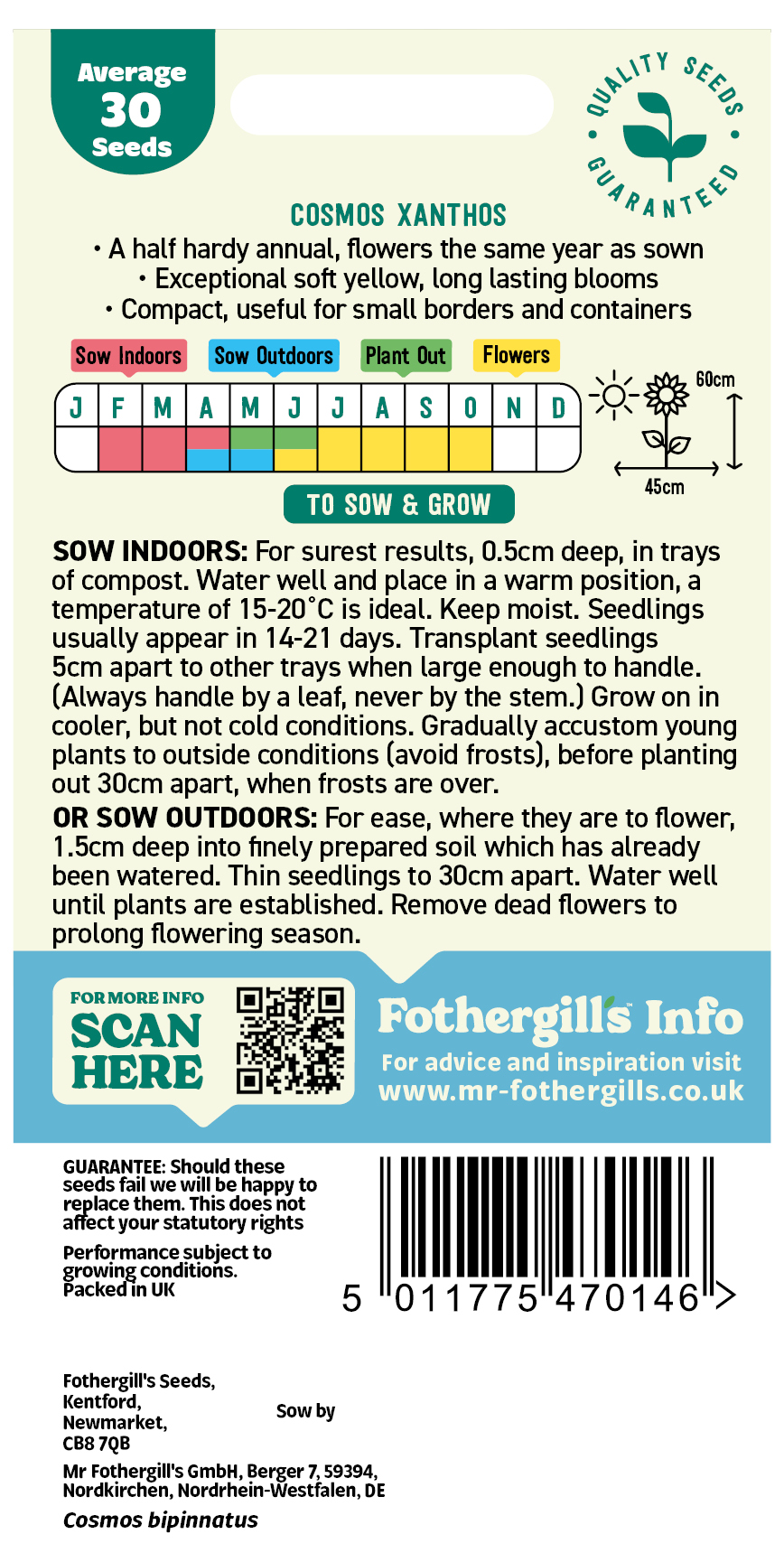 Cosmos 'Xanthos' Half Hardy Annual Seeds x1 Pack - Average 30 seeds - RHS Plants for pollinators - Image 2