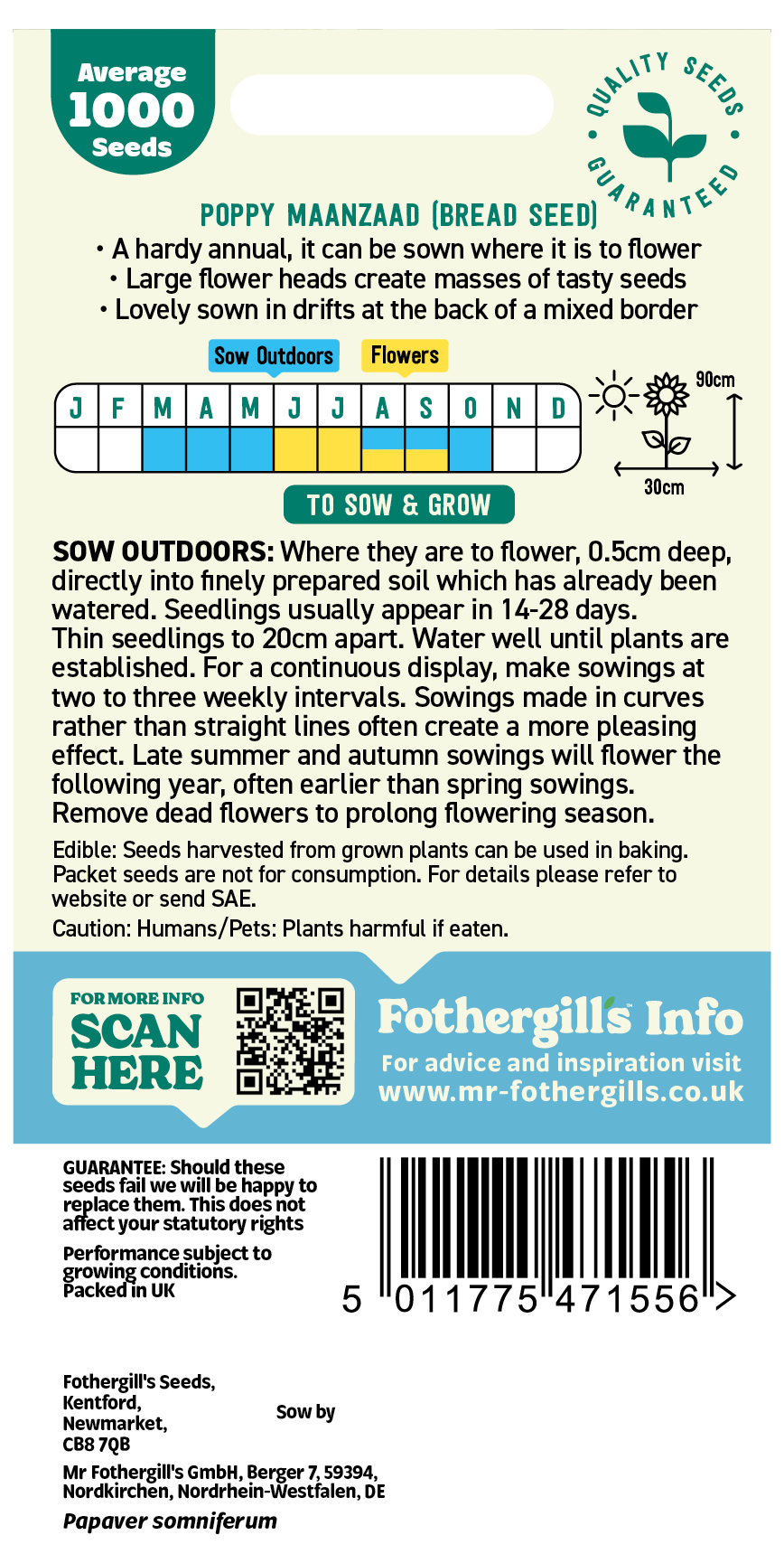 Poppy 'Maanzaad' Hardy Annual Seeds x1 Pack - Average 1000 seeds - Image 2