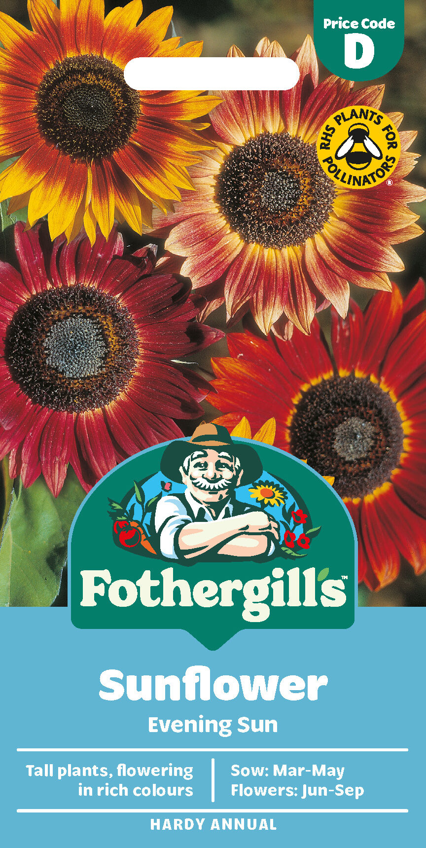 Sunflower 'Evening Sun' Hardy Annual Seeds x1 Pack - Average 50 seeds - RHS Plants for pollinators