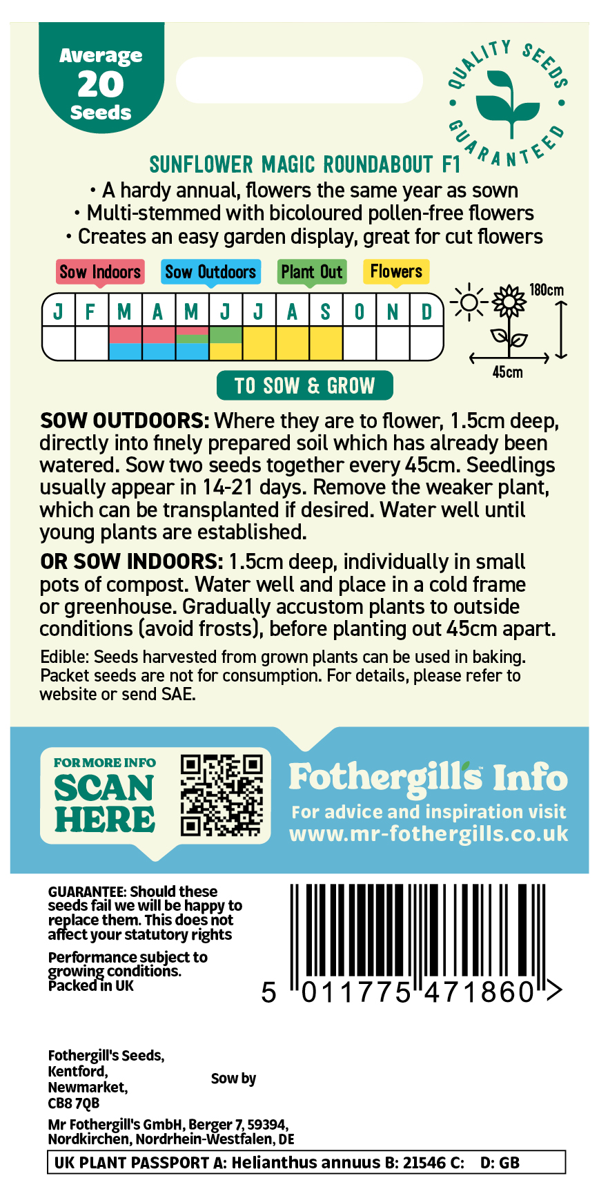 Sunflower 'Magic Roundabout' Hardy Annual Seeds x1 Pack - Average 20 seeds - Image 2
