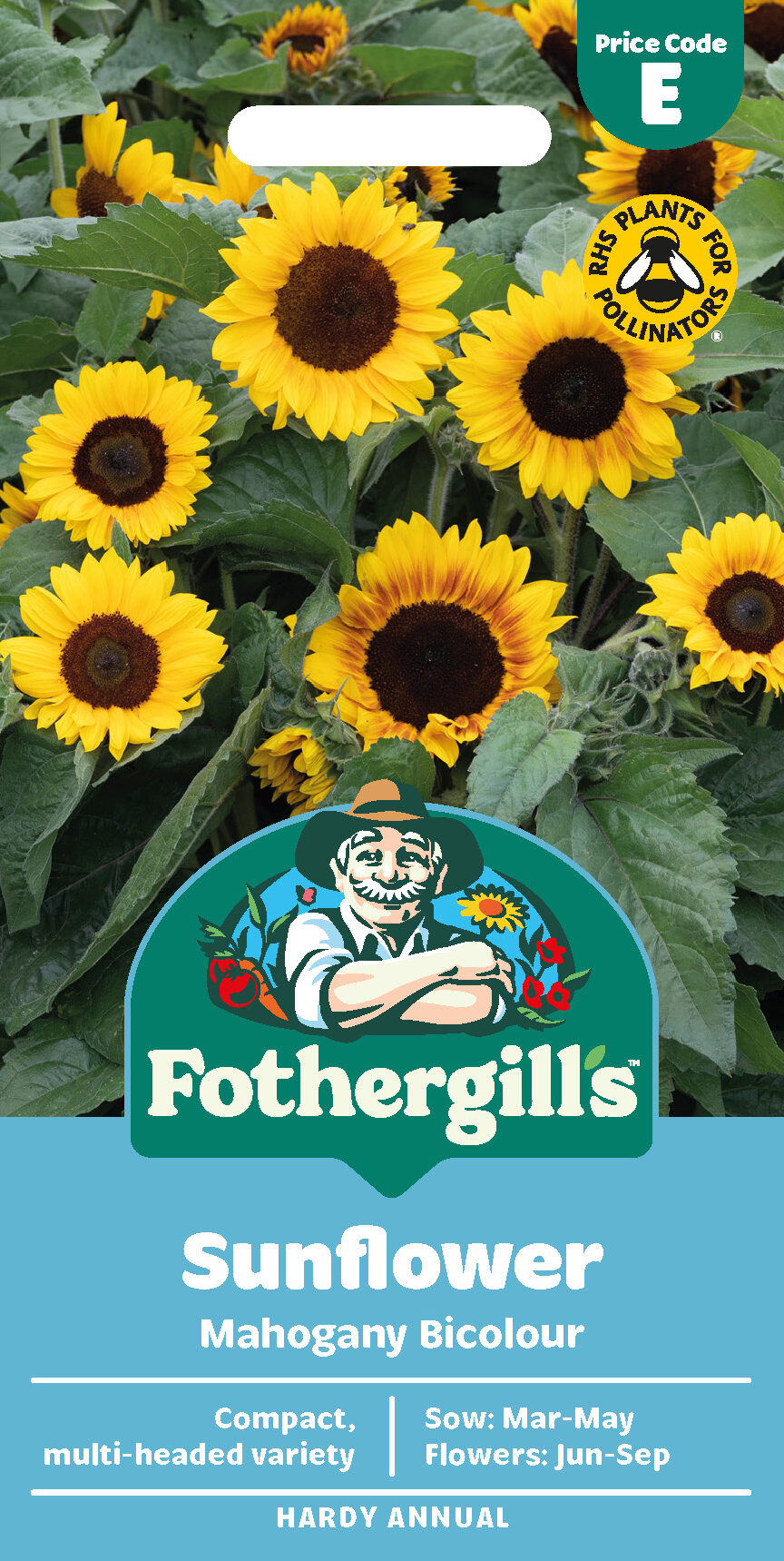 Sunflower 'Mahogany Bi-colour' Hardy Annual Seeds x1 Pack - Average 20 seeds - RHS Plants for pollinators