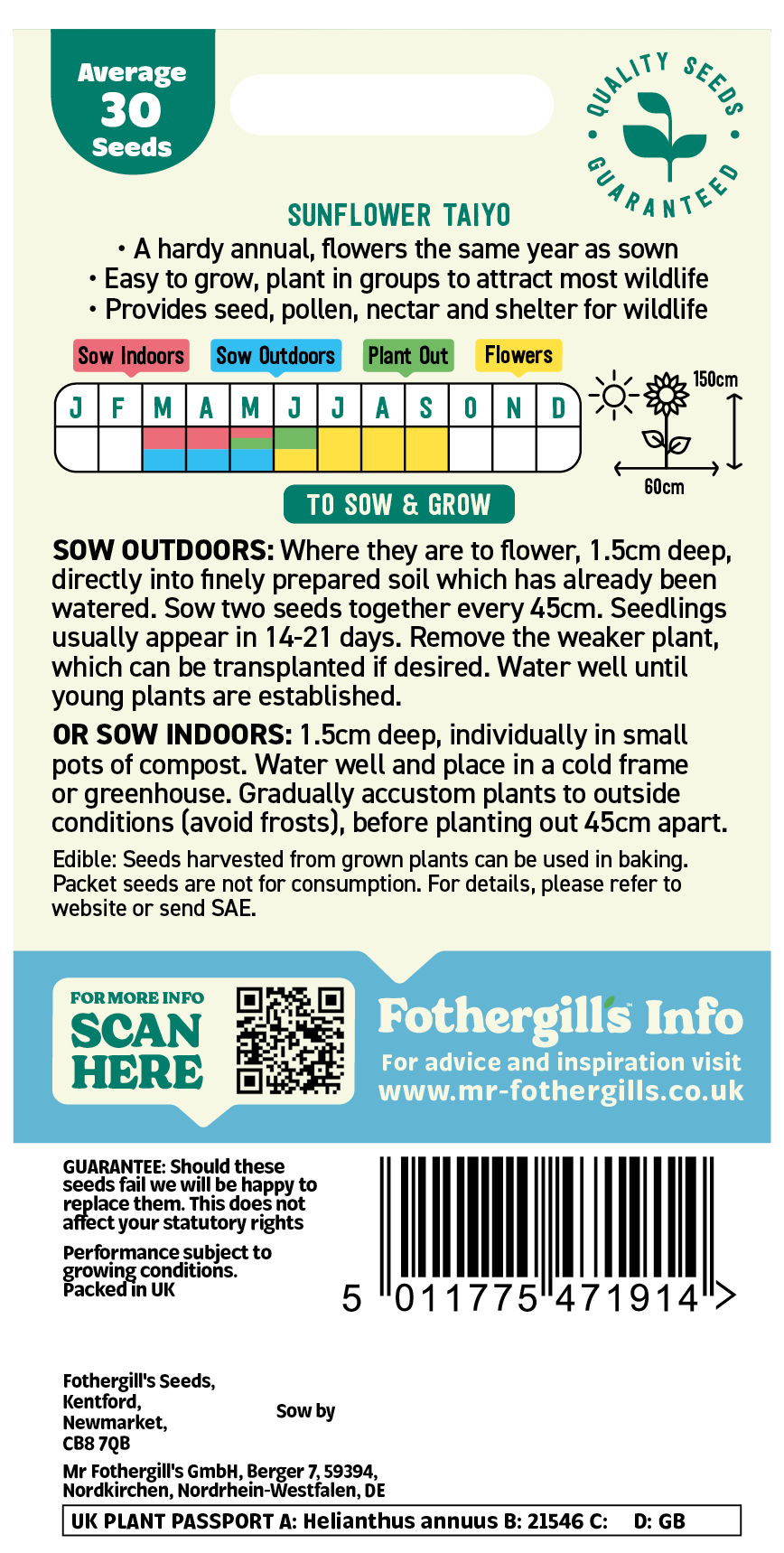 Sunflower 'Taiyo' Hardy Annual Seeds x1 Pack - Average 30 seeds - RHS Plants for pollinators - Image 2