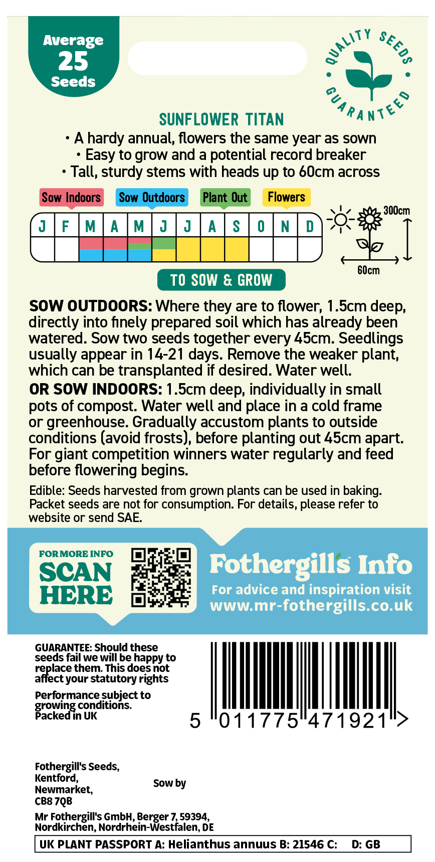 Sunflower 'Titan' Hardy Annual Seeds x1 Pack - Average 25 seeds - RHS Plants for pollinators - Image 2