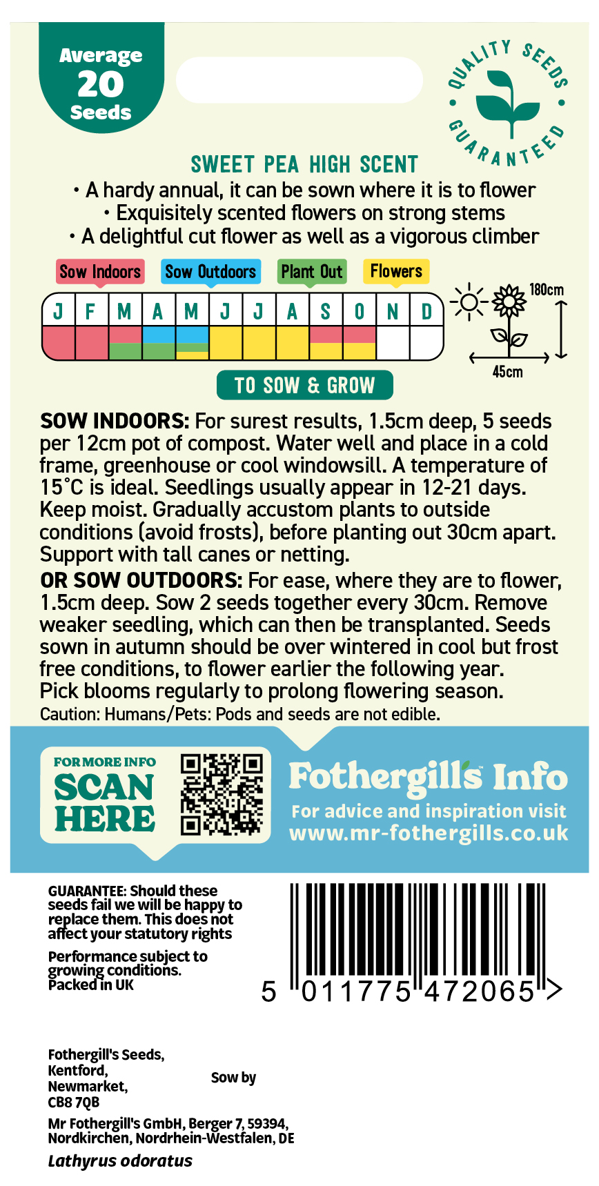 Sweet Pea 'High Scent' Hardy Annual Seeds x1 Pack - Average 20 seeds - Bright Colours for Wildlife - Image 2