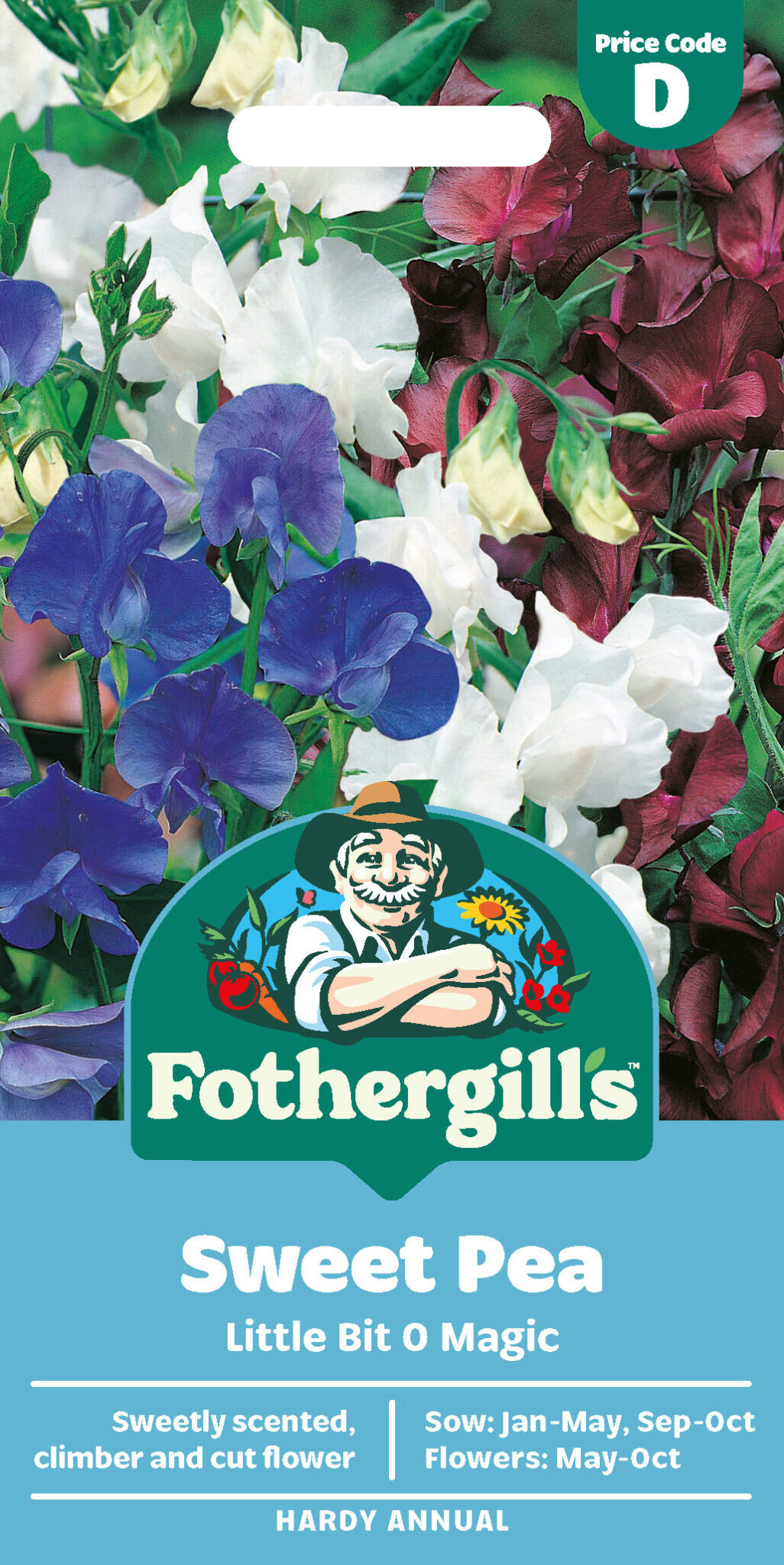 Sweet Pea 'Little Bit O Magic' Hardy Annual Seeds x1 Pack - Average 20 seeds - Bright Colours for Wildlife