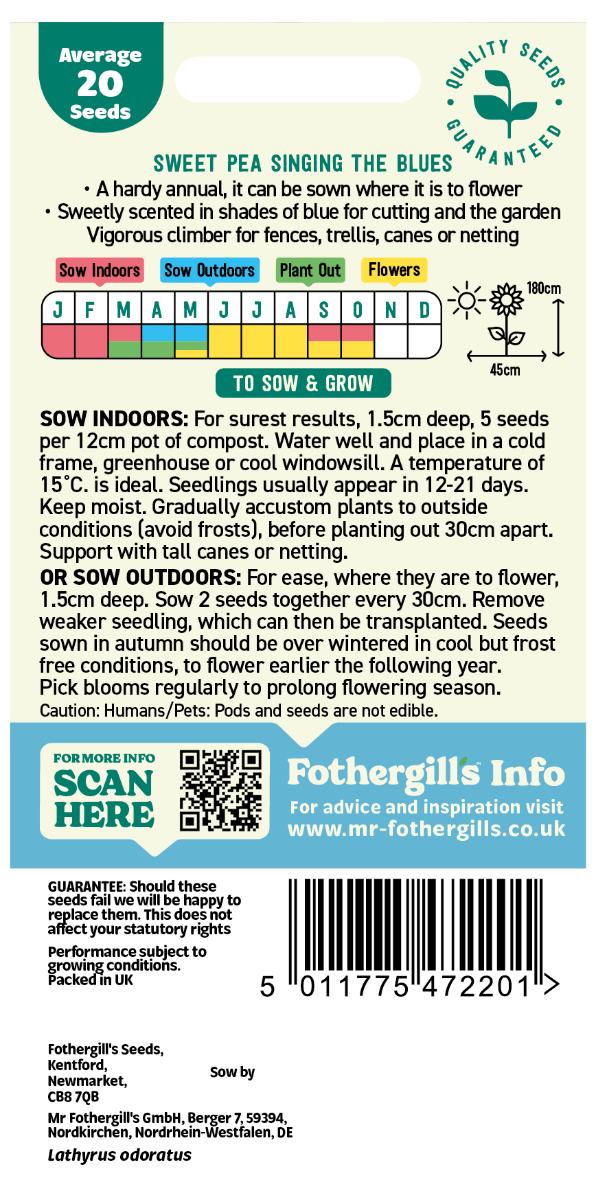 Sweet Pea 'Singing the Blues' Hardy Annual Seeds x1 Pack - Average 20 seeds - Bright Colours for Wildlife - Image 2