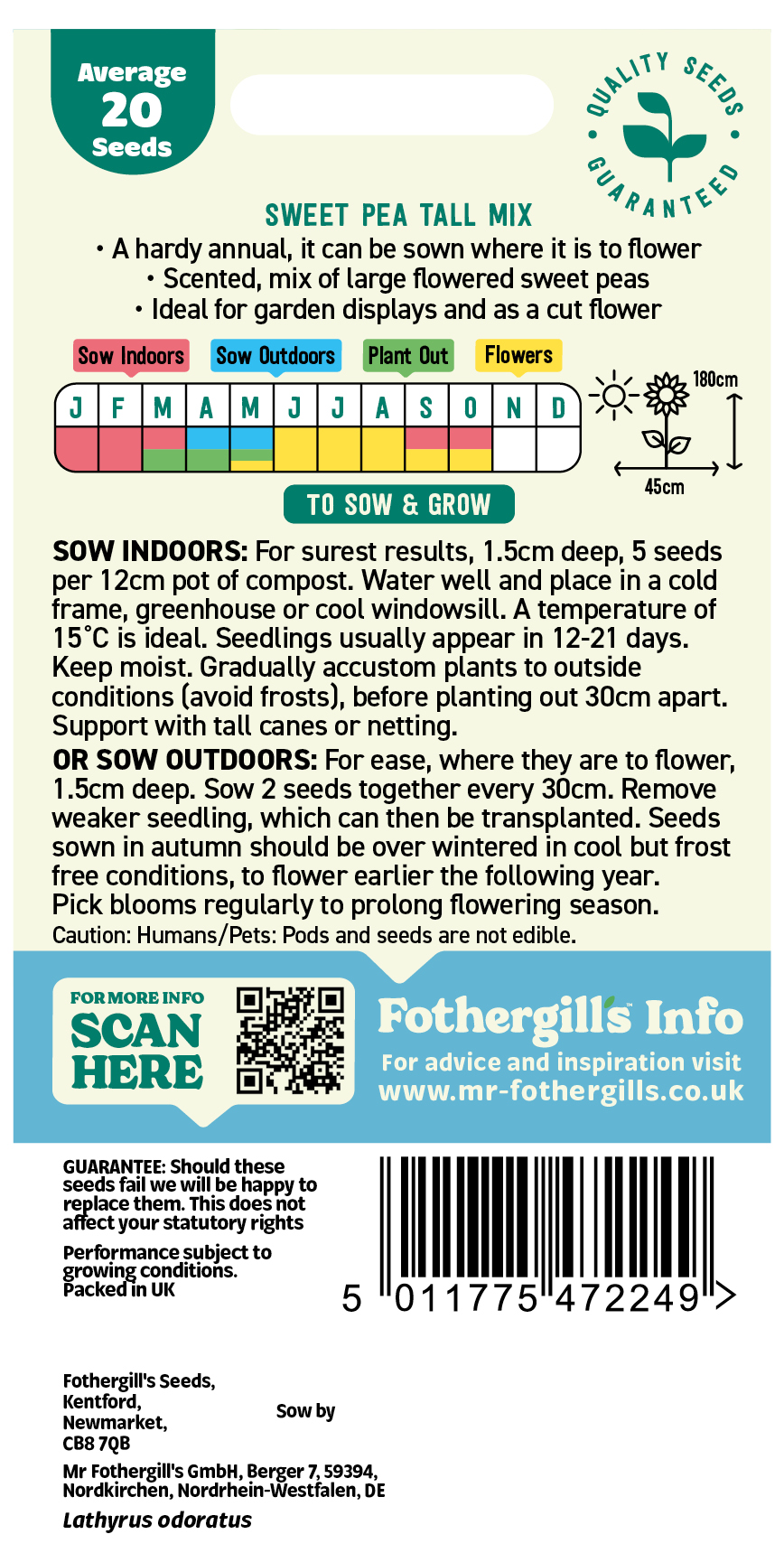 Sweet Pea 'Tall Mix' Hardy Annual Seeds x1 Pack - Average 20 seeds - Bright Colours for Wildlife - Image 2