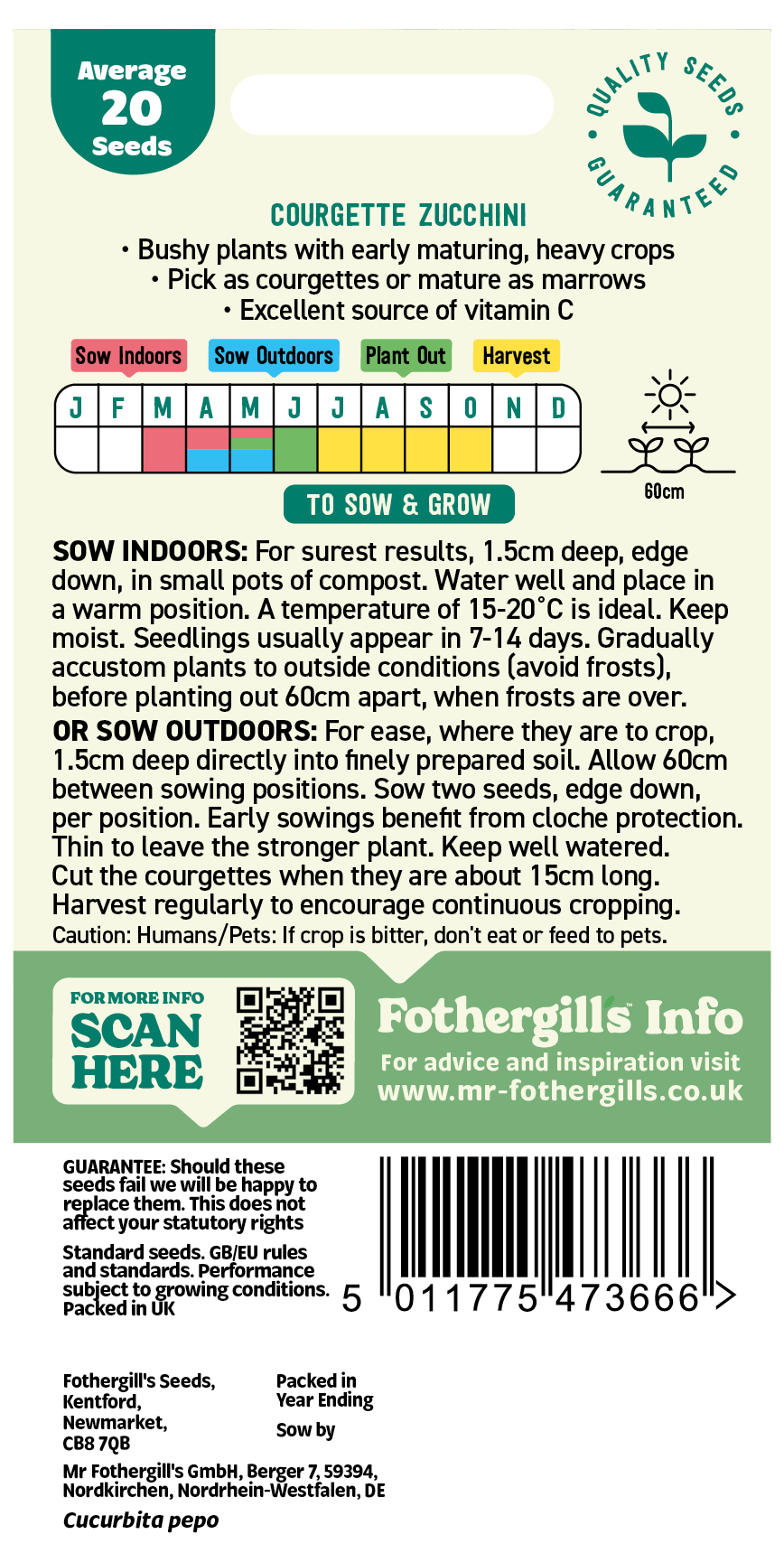 Courgette Zucchini Seeds - x20 Seeds - Classic, Early maturing reliable variety - Image 2