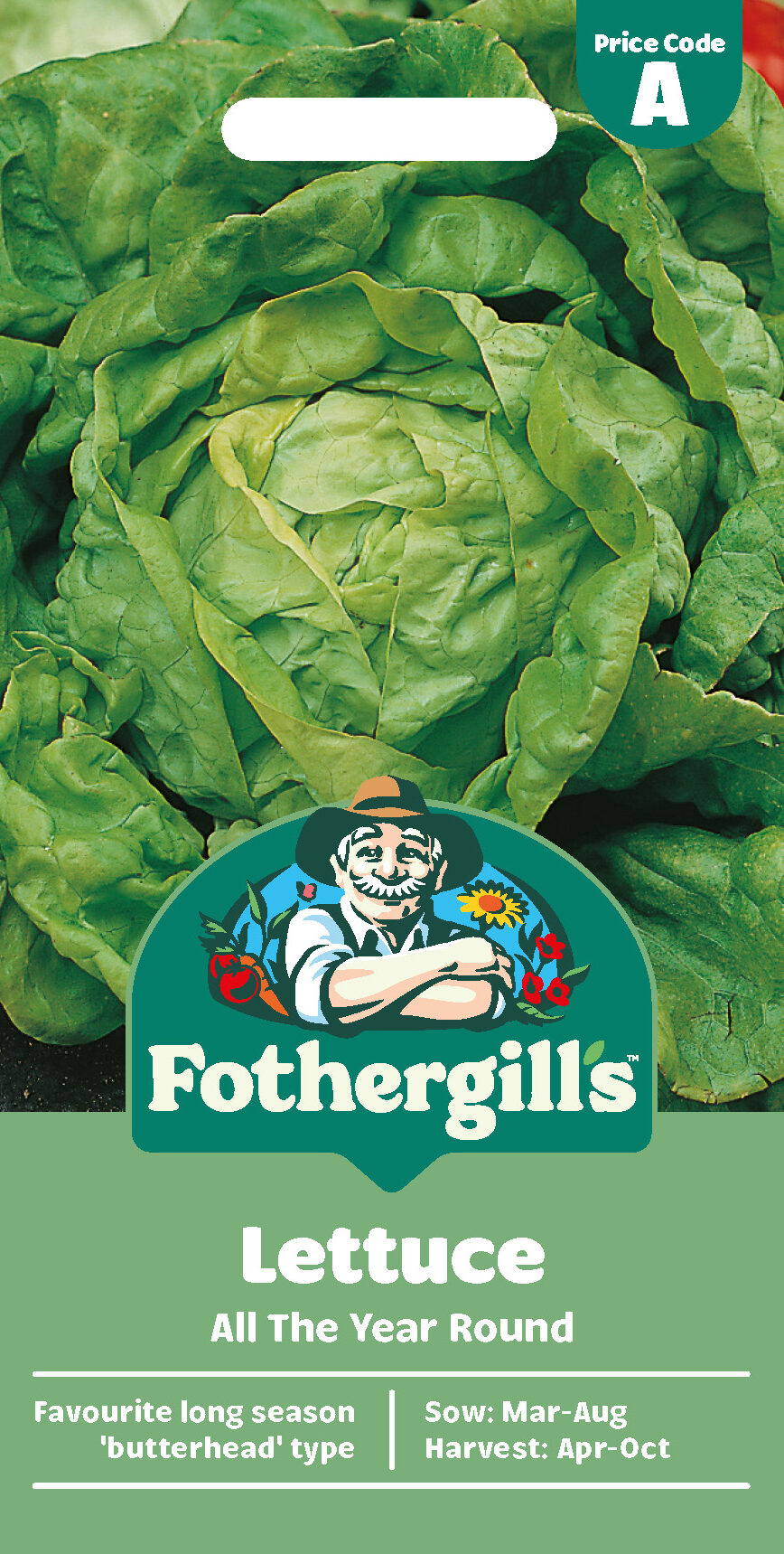 Lettuce 'All The Year Round' Seeds - x1000 Seeds - Favourite long season 'Butterhead Type'