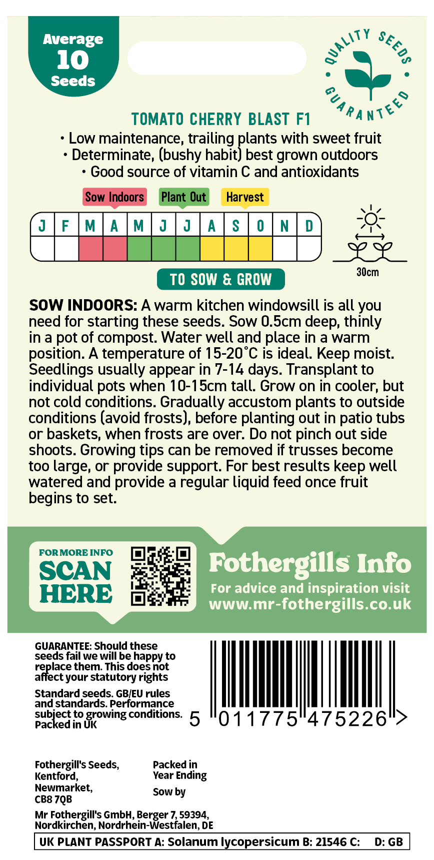 Tomato 'Cherry Blast' Seeds - x10 Seeds - Compact, trailing, ideal for baskets - Image 2