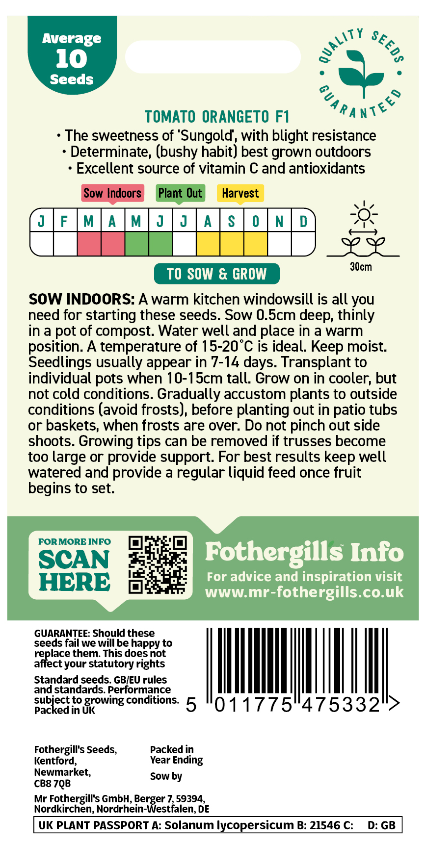 Tomato 'Orangeto' Seeds - x10 Seeds - Easy to grow F1 quality bush type - Image 2