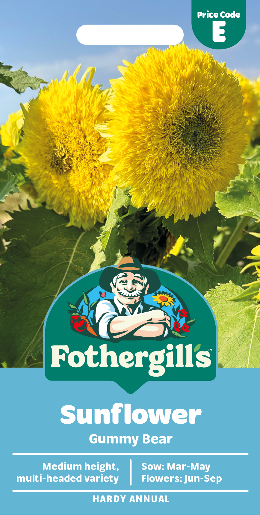 Sunflower 'Gummy Bear' Hardy Annual Seeds x1 Pack - Average 20 seeds