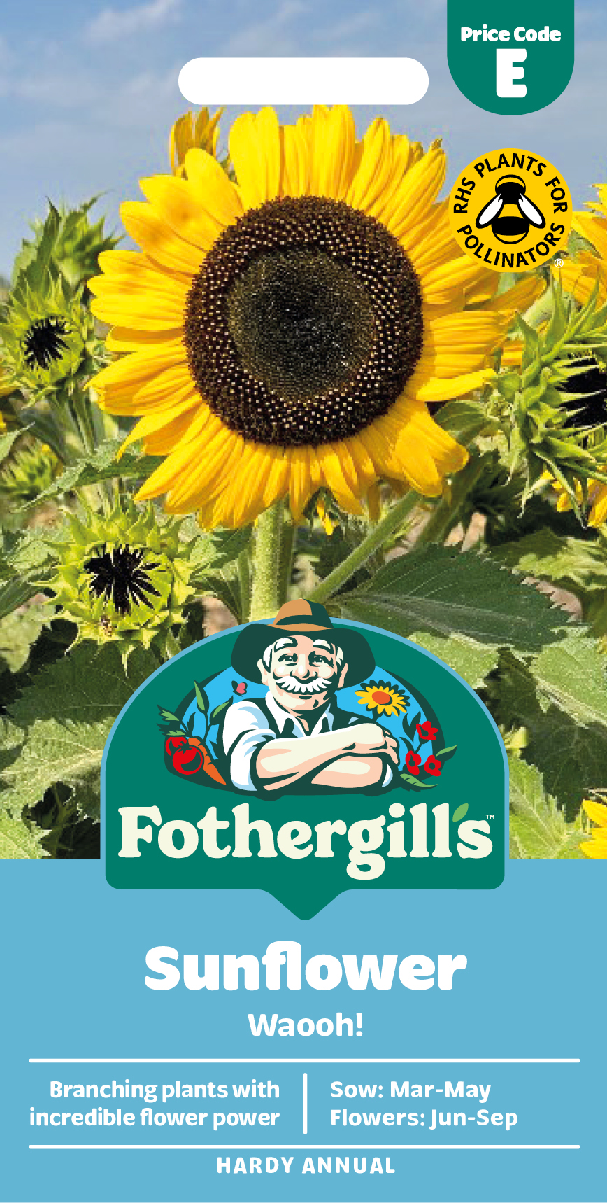 Sunflower 'Waooh' Hardy Annual Seeds x1 Pack - Average 20 seeds - RHS Plants for Pollinators